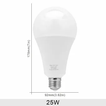 Light Bulbs