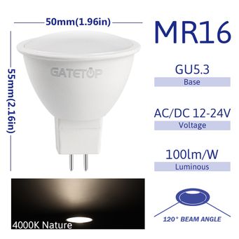 Light Bulbs