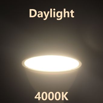 Light Bulbs