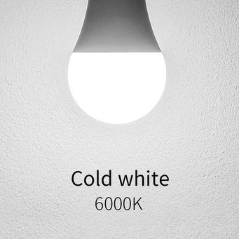 Light Bulbs