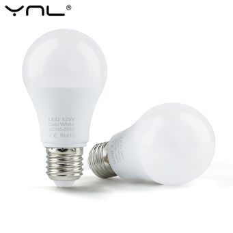 Light Bulbs