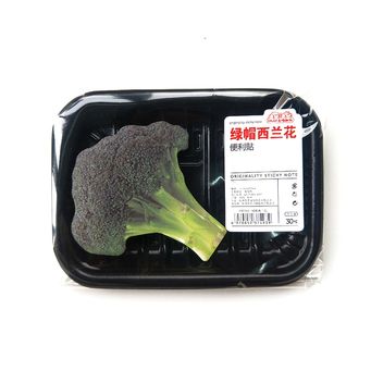 Notebooks & Writing Pads