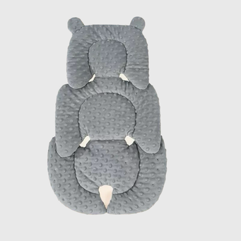 Car Seats & Accessories