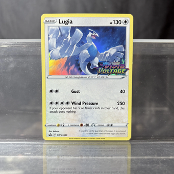 Hobby & Collectibles