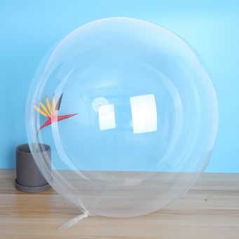 Party Supplies & Event Planning 