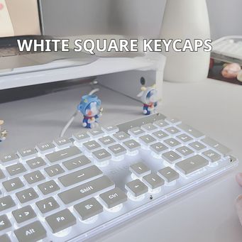 Computer Hardware & Accessories