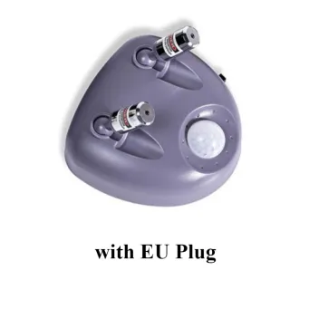 Interior Accessories