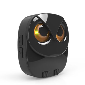 Alarm Systems & Security