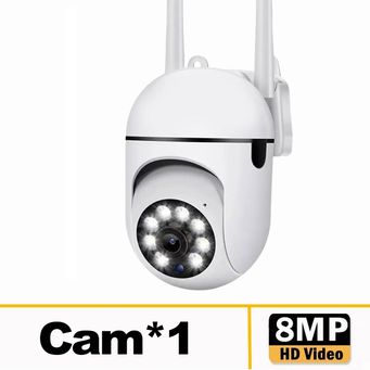 Video Surveillance