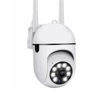Video Surveillance