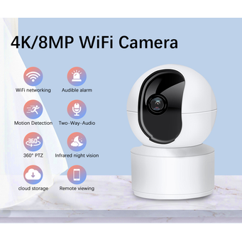 Video Surveillance