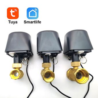 Family Intelligence System