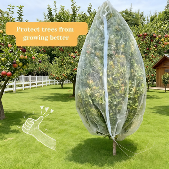 Home & Garden