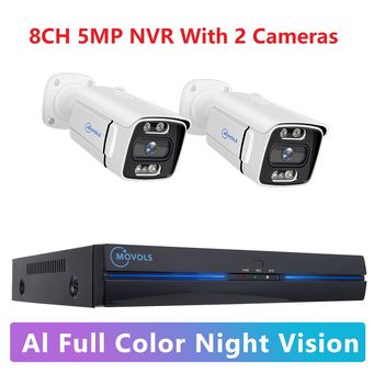 Video Surveillance