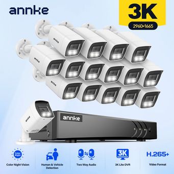 Video Surveillance