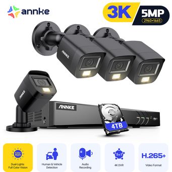 Video Surveillance