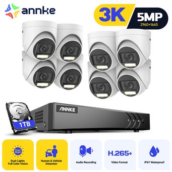 Video Surveillance
