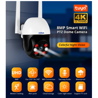 Video Surveillance