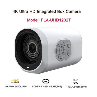 Video Surveillance