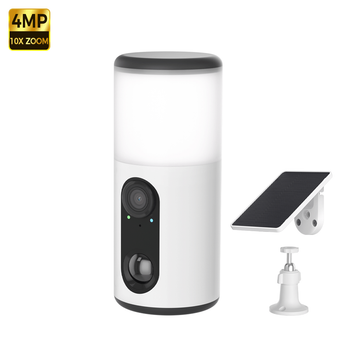 Video Surveillance