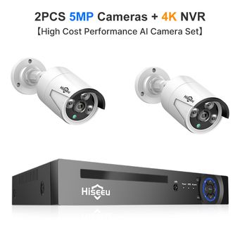 Video Surveillance