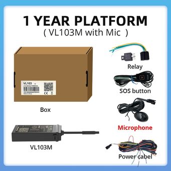 Car Electronics