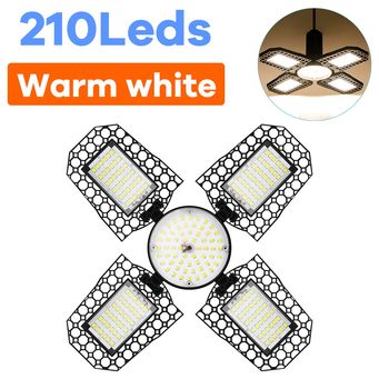 Professional Lights 