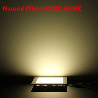 LED Bulbs 