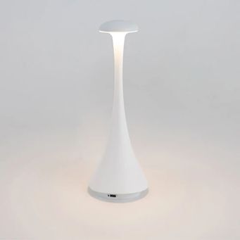 Indoor Lighting