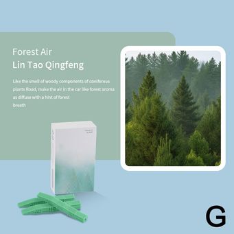 Interior Accessories