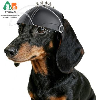 Pet & Veterinary Supplies