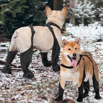 Pet & Veterinary Supplies