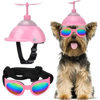 Pet & Veterinary Supplies