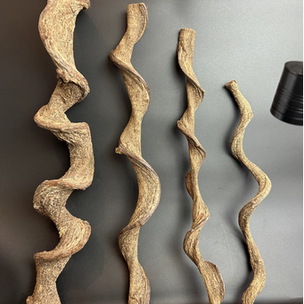 Pet & Veterinary Supplies