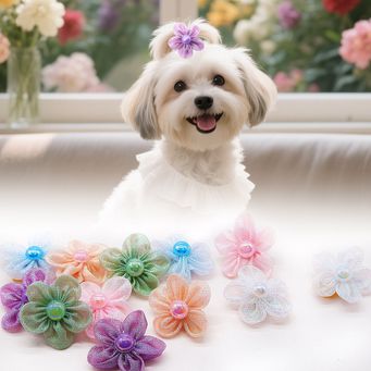 Pet & Veterinary Supplies