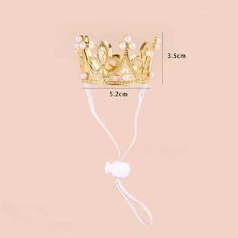 Pet & Veterinary Supplies