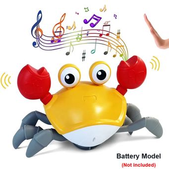 Pet & Veterinary Supplies