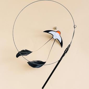 Pet & Veterinary Supplies