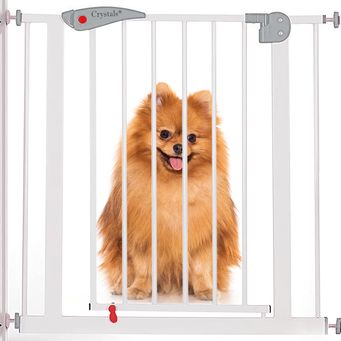 Pet & Veterinary Supplies