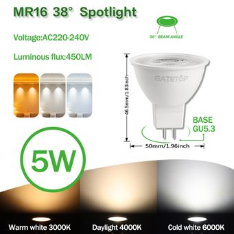 Light Bulbs
