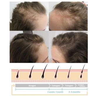 Skincare & Cosmetics