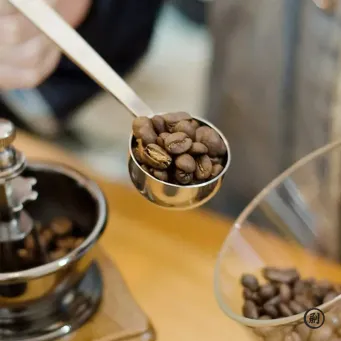 Kitchen & Bar Storage Furniture