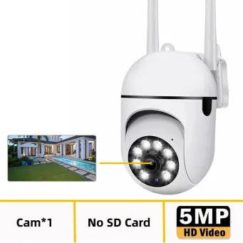 Video Surveillance