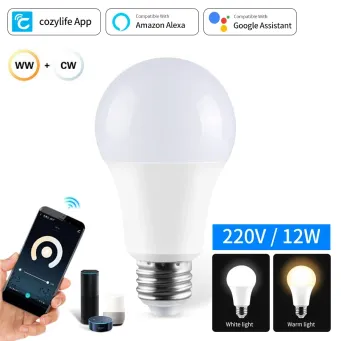Light Bulbs