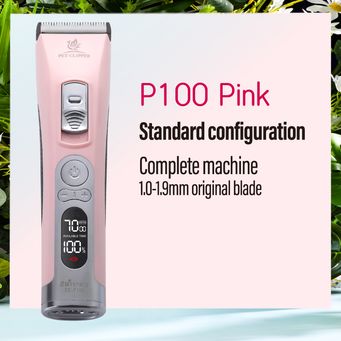 Pet & Veterinary Supplies