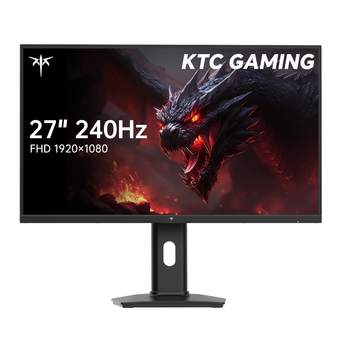 Computer Hardware & Accessories